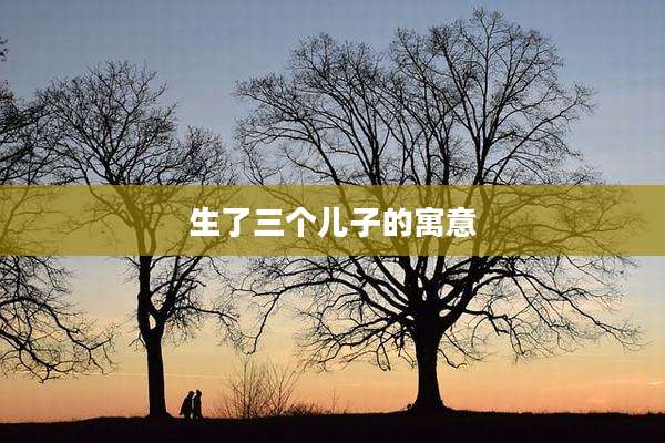 生了三个儿子的寓意