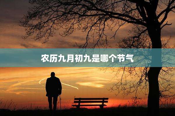 农历九月初九是哪个节气
