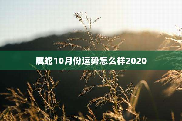 属蛇10月份运势怎么样2020