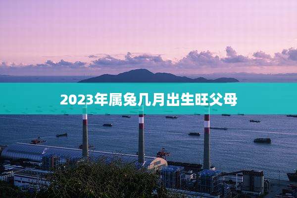 2023年属兔几月出生旺父母