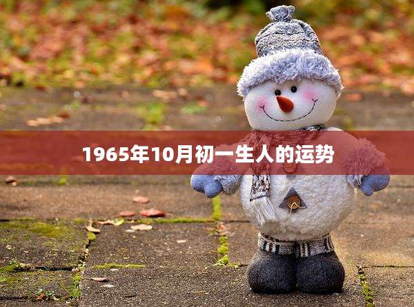 1965年10月初一生人的运势