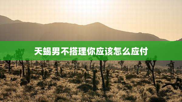 天蝎男不搭理你应该怎么应付