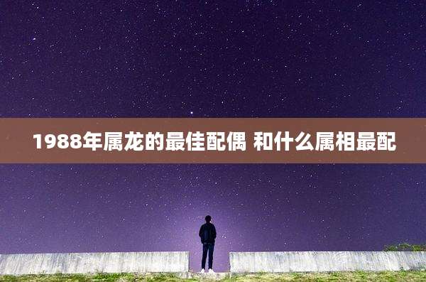 1988年属龙的最佳配偶 和什么属相最配