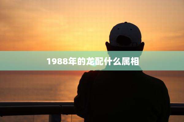 1988年的龙配什么属相