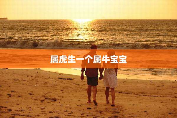 属虎生一个属牛宝宝