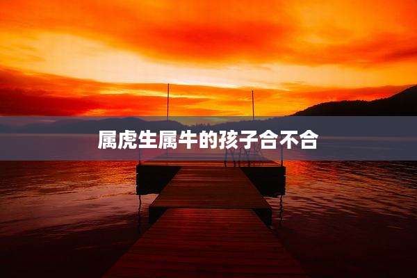 属虎生属牛的孩子合不合