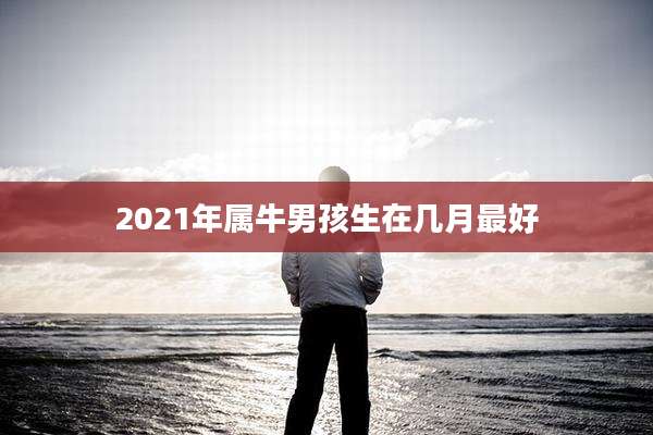 2021年属牛男孩生在几月最好