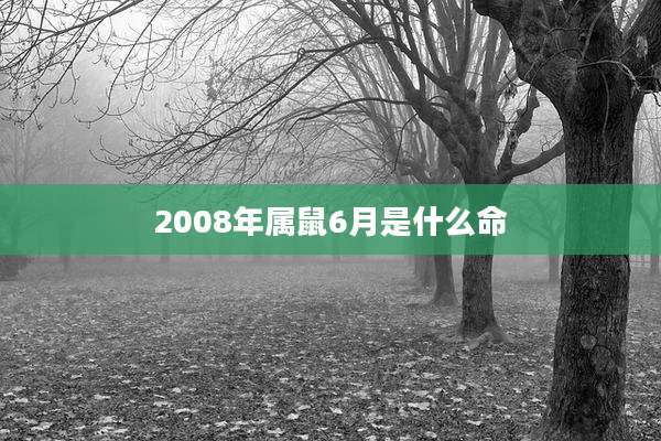2008年属鼠6月是什么命