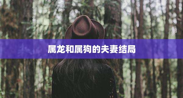 属龙和属狗的夫妻结局