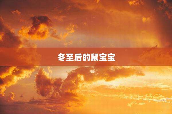 冬至后的鼠宝宝