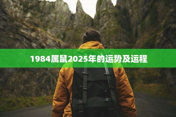 1984属鼠2025年的运势及运程