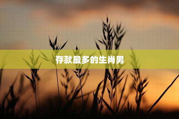 存款最多的生肖男