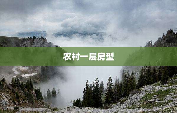 农村一层房型