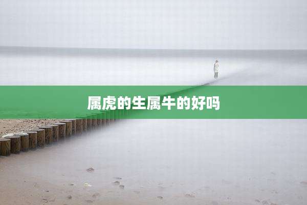 属虎的生属牛的好吗