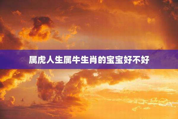 属虎人生属牛生肖的宝宝好不好