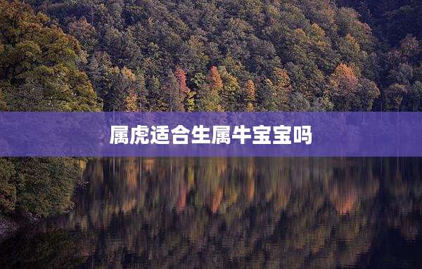 属虎适合生属牛宝宝吗
