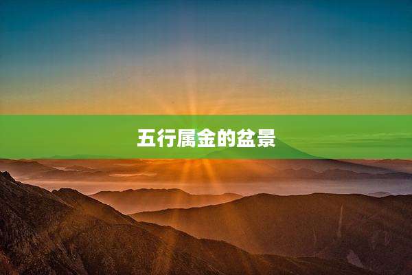 五行属金的盆景