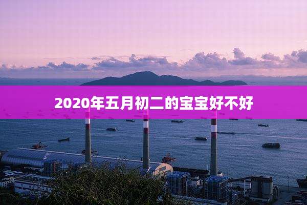2020年五月初二的宝宝好不好