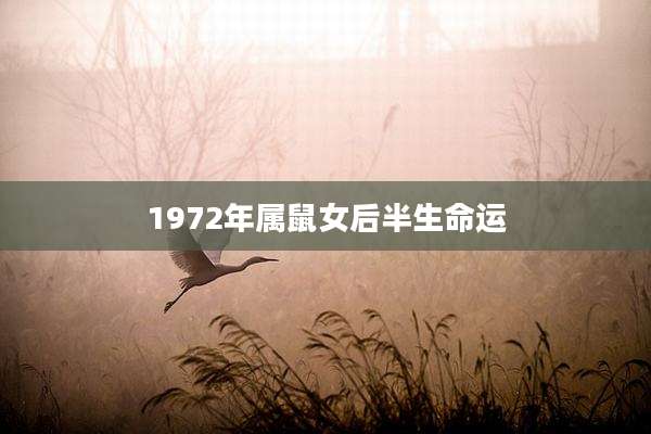 1972年属鼠女后半生命运