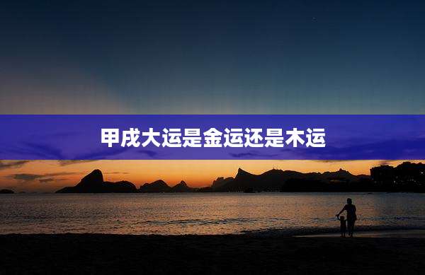 甲戌大运是金运还是木运