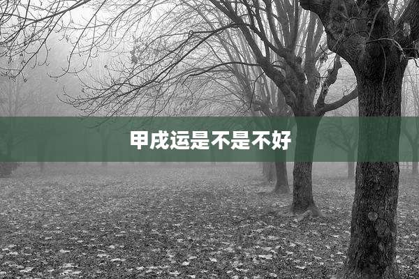 甲戌运是不是不好