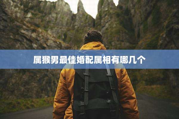 属猴男最佳婚配属相有哪几个