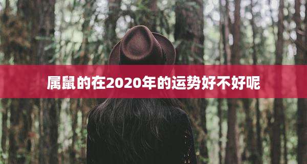 属鼠的在2020年的运势好不好呢