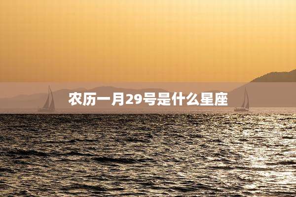 农历一月29号是什么星座