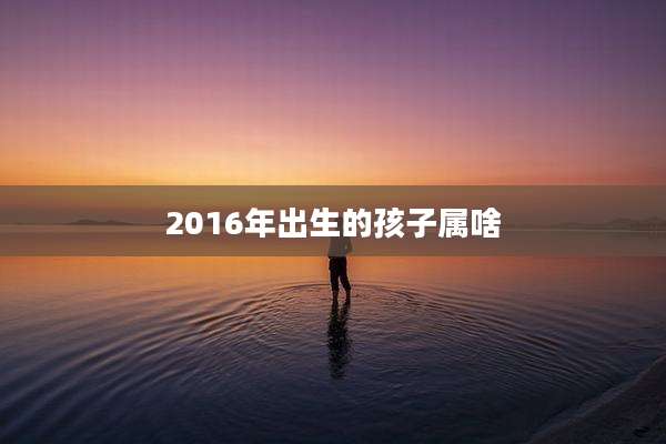 2016年出生的孩子属啥