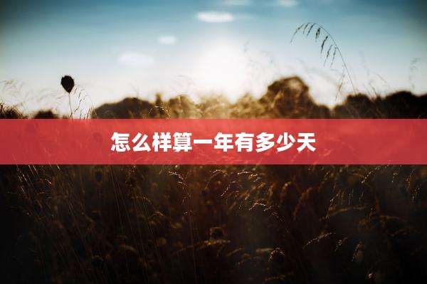 怎么样算一年有多少天
