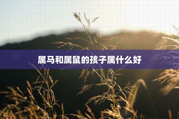 属马和属鼠的孩子属什么好