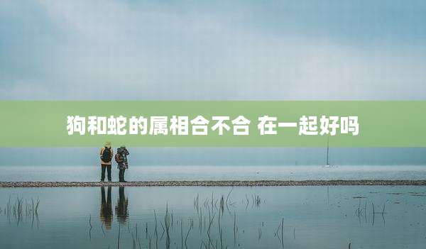 狗和蛇的属相合不合 在一起好吗