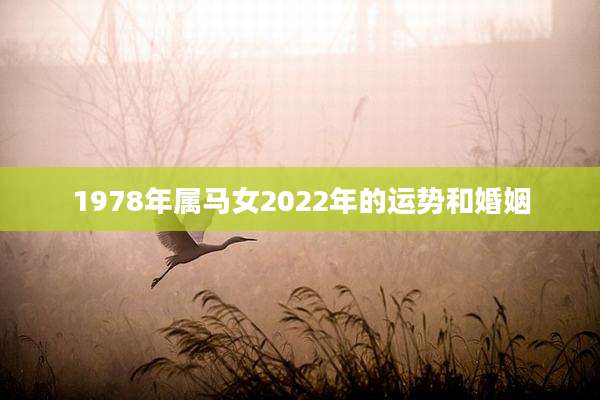 1978年属马女2022年的运势和婚姻