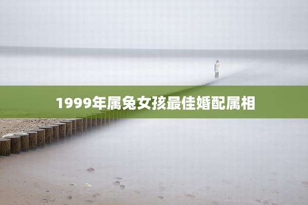1999年属兔女孩最佳婚配属相