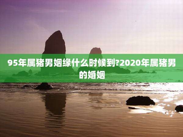 95年属猪男姻缘什么时候到?2020年属猪男的婚姻