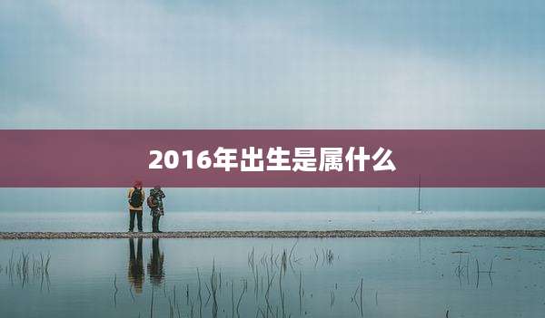 2016年出生是属什么