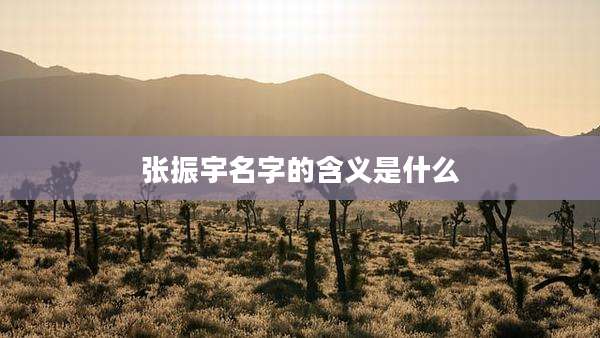 张振宇名字的含义是什么