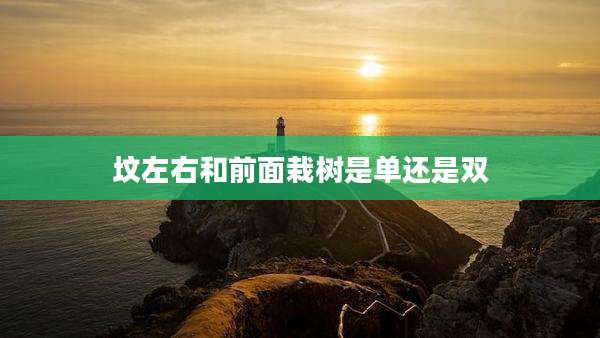 坟左右和前面栽树是单还是双