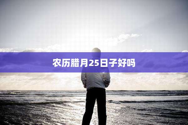 农历腊月25日子好吗