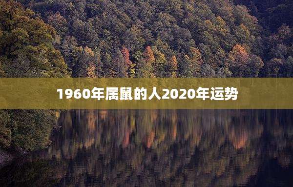 1960年属鼠的人2020年运势
