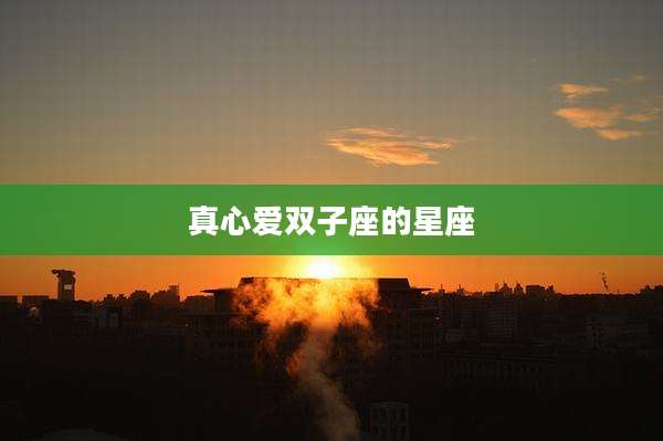 真心爱双子座的星座