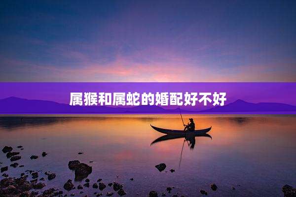 属猴和属蛇的婚配好不好