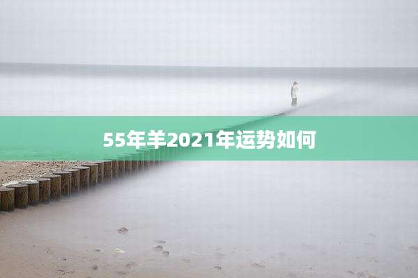 55年羊2021年运势如何