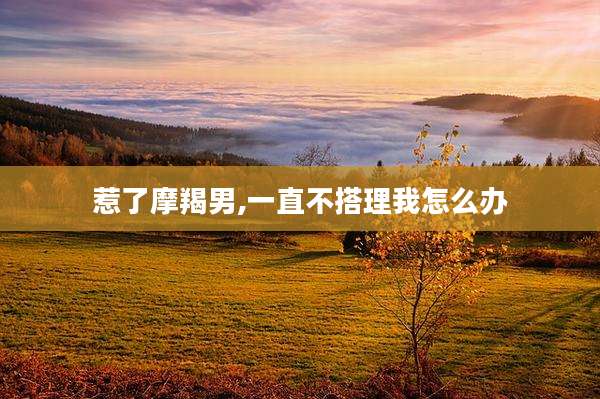 惹了摩羯男,一直不搭理我怎么办