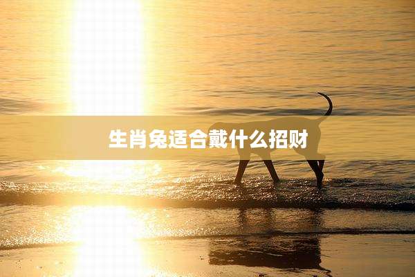 生肖兔适合戴什么招财