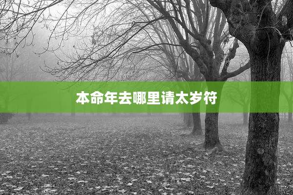 本命年去哪里请太岁符