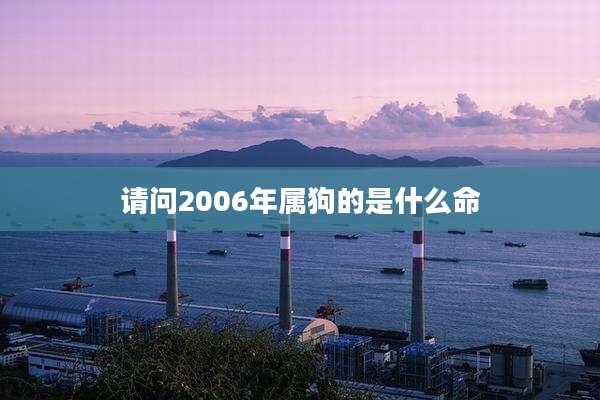 请问2006年属狗的是什么命