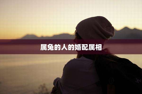 属兔的人的婚配属相