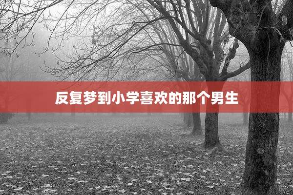 反复梦到小学喜欢的那个男生