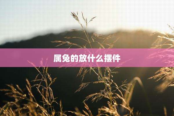 属兔的放什么摆件